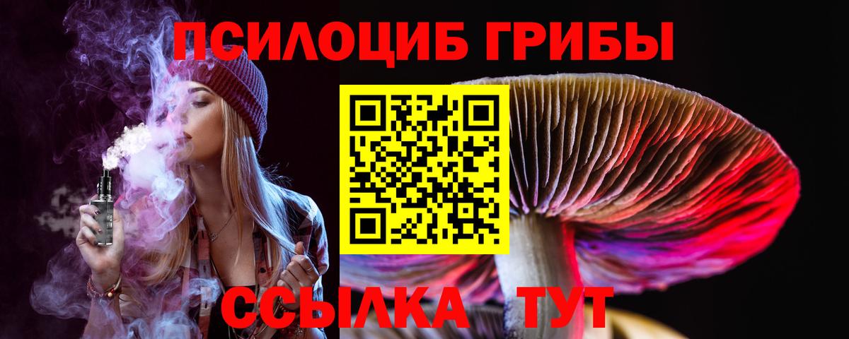 Псилоцибиновые грибы прущие грибы  Галлюциногенные грибы GOLDEN TEACHER  Новошахтинск  Вход с VPN 